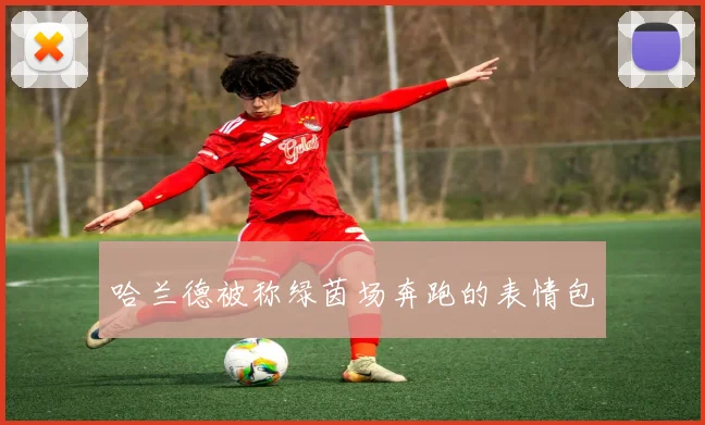 哈兰德被称绿茵场奔跑的表情包