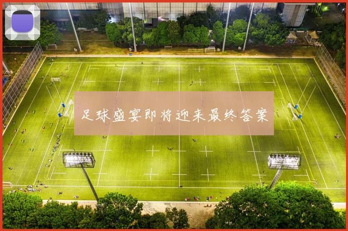 足球盛宴即将迎来最终答案