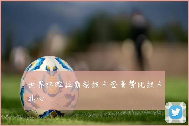 世界杯维拉截胡纽卡签曼赞比纽卡扎心