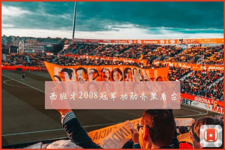 西班牙2008冠军功勋齐聚看台