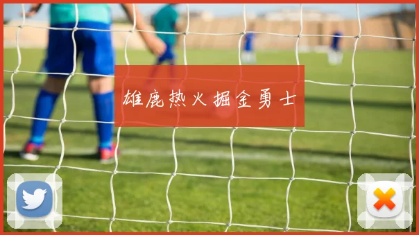 雄鹿热火掘金勇士