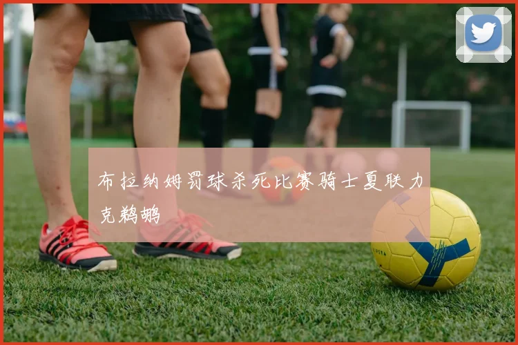 布拉纳姆罚球杀死比赛骑士夏联力克鹈鹕